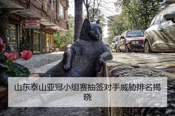山东泰山亚冠小组赛抽签对手威胁排名揭晓